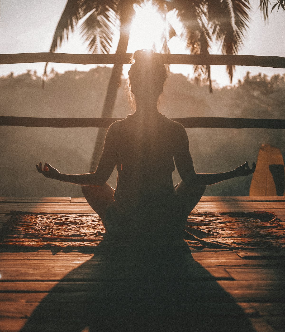Wellness program with meditation and yoga guidance